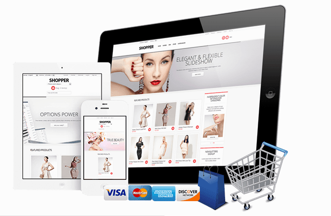Ecommerce website in Abuja Nigeria
